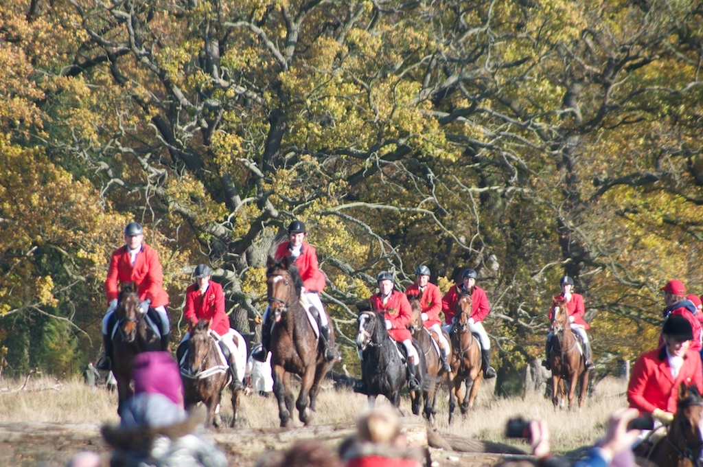 Hubertusjagt 2012
