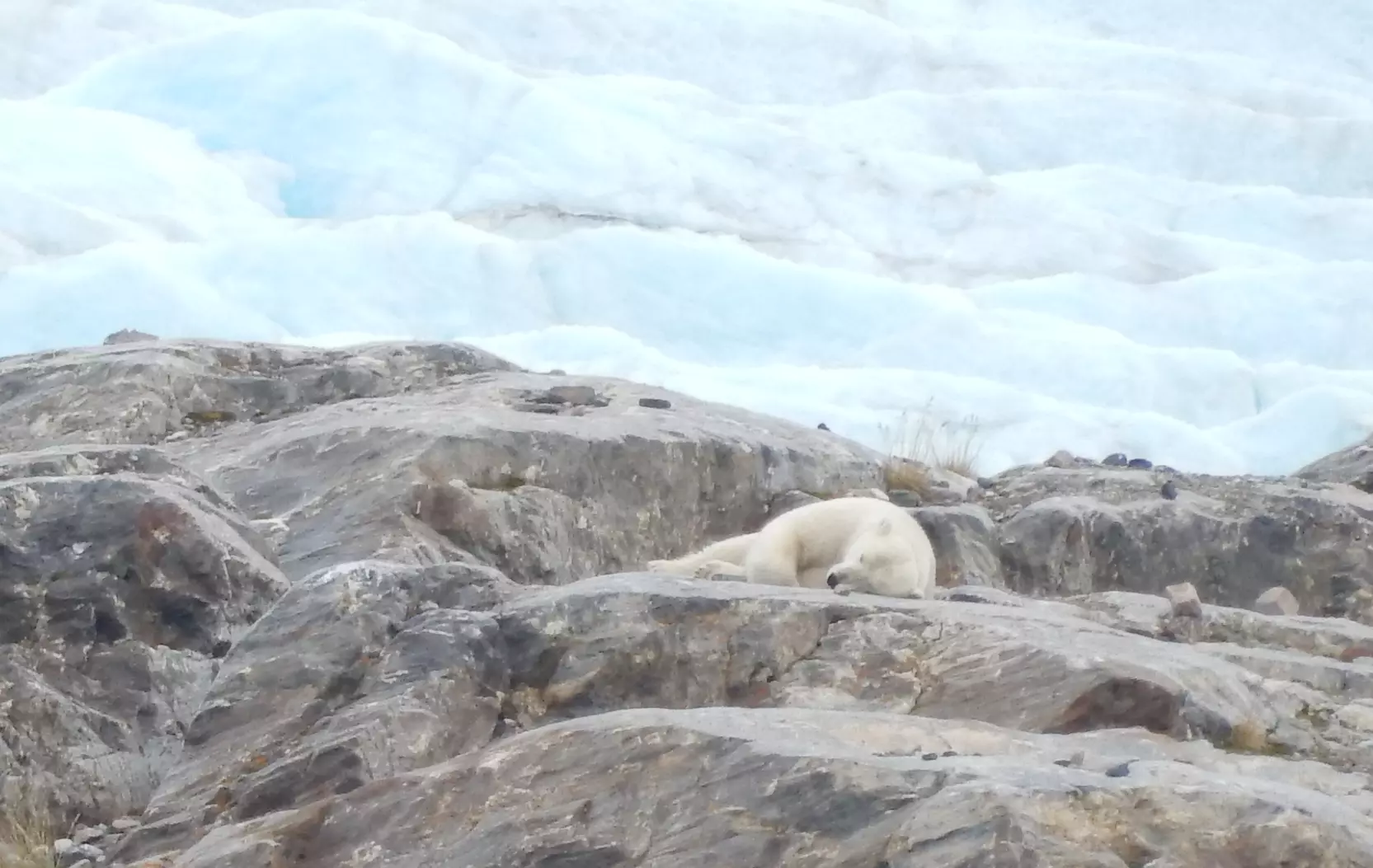 Longyearbyen, Svalbard